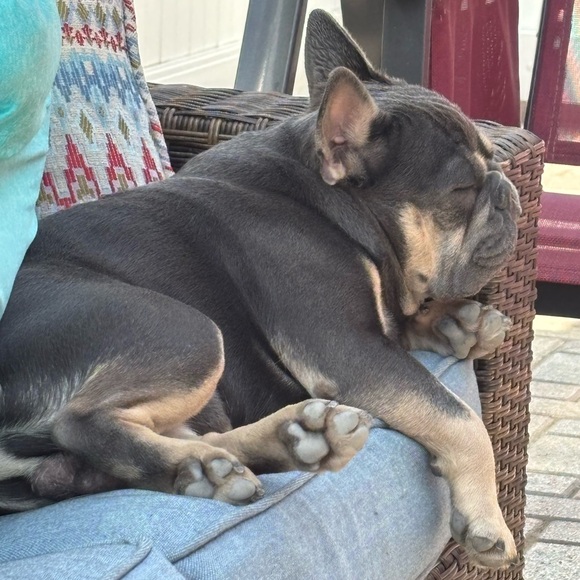 No Theme Share Show - Picture 9 of 15